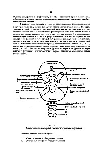Terapia czaszkowo-krzyżowa. Księga 2